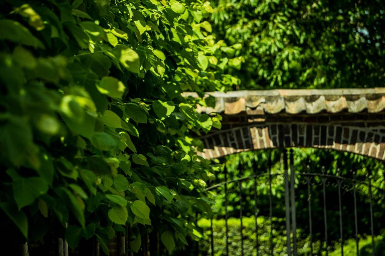 A Casa Nostra - Huiselijk En Gezellig Overnachten - Exclusief Ontbijt Well  Bagian luar foto